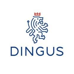 DINGSHI