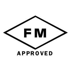 F M